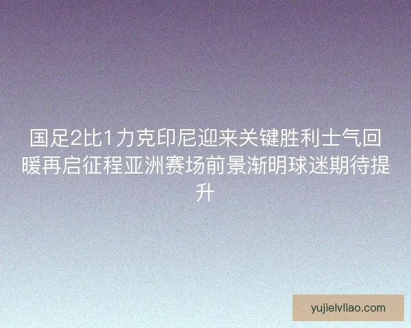 国足2比1力克印尼迎来关键胜利士气回暖再启征程亚洲赛场前景渐明球迷期待提升