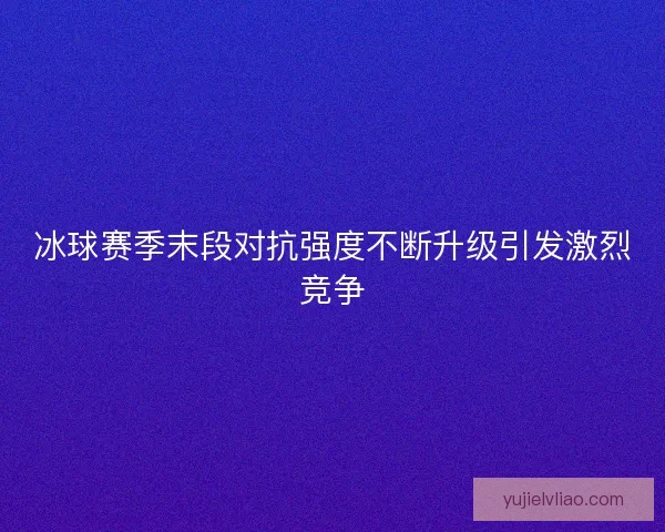 冰球赛季末段对抗强度不断升级引发激烈竞争
