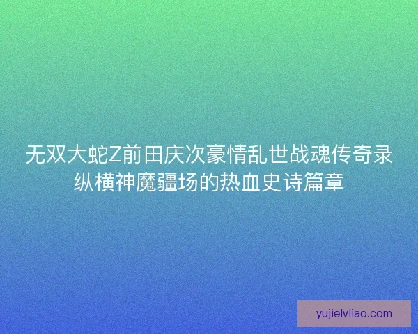 无双大蛇Z前田庆次豪情乱世战魂传奇录纵横神魔疆场的热血史诗篇章